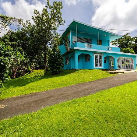 Rainforest Retreat 15 Min From The Beach Luquillo Exterior foto