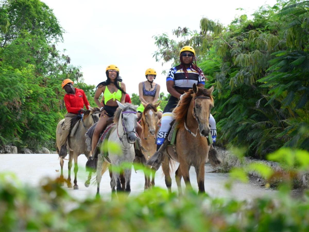 Rainforest Retreat 15 Min From The Beach Luquillo Exterior foto