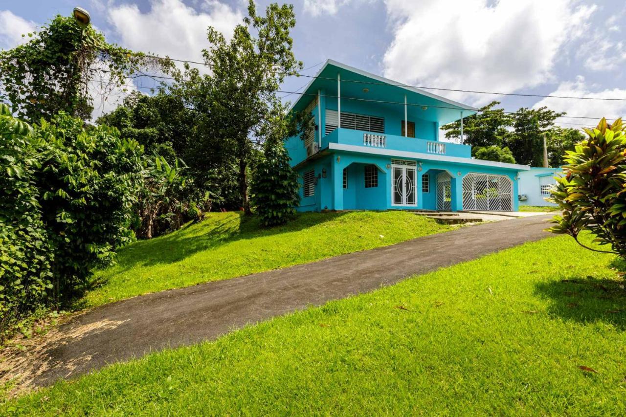 Rainforest Retreat 15 Min From The Beach Luquillo Exterior foto